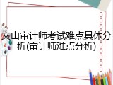 文山审计师考试难点具体分析(审计师难点分析)