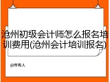 沧州初级会计师怎么报名培训费用(沧州会计培训报名)