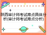 陕西审计师考试难点具体分析(审计师考试难点分析)