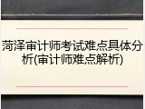 菏泽审计师考试难点具体分析(审计师难点解析)