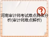 河南审计师考试难点具体分析(审计师难点解析)