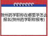 贺州药学职称在哪里学怎么报名(贺州药学职称报考)