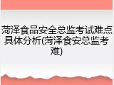 菏泽食品安全总监考试难点具体分析(菏泽食安总监考难)