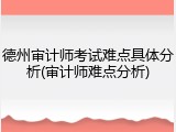 德州审计师考试难点具体分析(审计师难点分析)