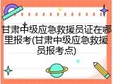 甘肃中级应急救援员证在哪里报考(甘肃中级应急救援员报考点)