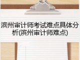 滨州审计师考试难点具体分析(滨州审计师难点)