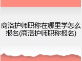 商洛护师职称在哪里学怎么报名(商洛护师职称报名)