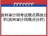 吉林审计师考试难点具体分析(吉林审计师难点分析)