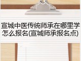 宣城中医传统师承在哪里学怎么报名(宣城师承报名点)