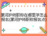 漯河护师职称在哪里学怎么报名(漯河护师职称报名点)