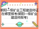 朝阳一级矿业工程建造师证在哪里报考(朝阳一级矿业建造师报考)