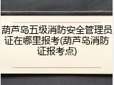 葫芦岛五级消防安全管理员证在哪里报考(葫芦岛消防证报考点)