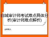 白城审计师考试难点具体分析(审计师难点解析)