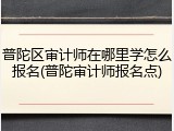 普陀区审计师在哪里学怎么报名(普陀审计师报名点)