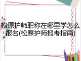 松原护师职称在哪里学怎么报名(松原护师报考指南)