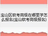 宝山区软考高级在哪里学怎么报名(宝山软考高级报名)