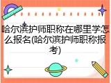 哈尔滨护师职称在哪里学怎么报名(哈尔滨护师职称报考)