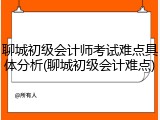 聊城初级会计师考试难点具体分析(聊城初级会计难点)