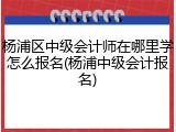 杨浦区中级会计师在哪里学怎么报名(杨浦中级会计报名)