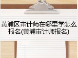 黄浦区审计师在哪里学怎么报名(黄浦审计师报名)