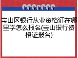 宝山区银行从业资格证在哪里学怎么报名(宝山银行资格证报名)