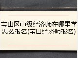 宝山区中级经济师在哪里学怎么报名(宝山经济师报名)