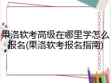 果洛软考高级在哪里学怎么报名(果洛软考报名指南)