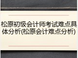 松原初级会计师考试难点具体分析(松原会计难点分析)