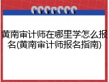 黄南审计师在哪里学怎么报名(黄南审计师报名指南)