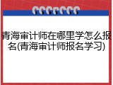 青海审计师在哪里学怎么报名(青海审计师报名学习)