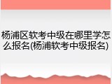杨浦区软考中级在哪里学怎么报名(杨浦软考中级报名)