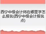 西宁中级会计师在哪里学怎么报名(西宁中级会计报名点)