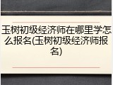 玉树初级经济师在哪里学怎么报名(玉树初级经济师报名)