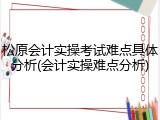 松原会计实操考试难点具体分析(会计实操难点分析)