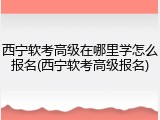 西宁软考高级在哪里学怎么报名(西宁软考高级报名)