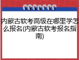 内蒙古软考高级在哪里学怎么报名(内蒙古软考报名指南)