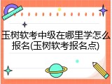 玉树软考中级在哪里学怎么报名(玉树软考报名点)