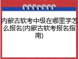 内蒙古软考中级在哪里学怎么报名(内蒙古软考报名指南)