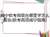 咸宁软考高级在哪里学怎么报名(软考高项咸宁指南)