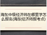 海东中级经济师在哪里学怎么报名(海东经济师报考点)