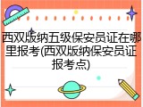 西双版纳五级保安员证在哪里报考(西双版纳保安员证报考点)