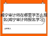 咸宁审计师在哪里学怎么报名(咸宁审计师报名学习)