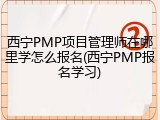 西宁PMP项目管理师在哪里学怎么报名(西宁PMP报名学习)