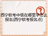 西宁软考中级在哪里学怎么报名(西宁软考报名点)