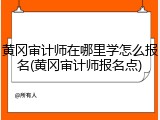黄冈审计师在哪里学怎么报名(黄冈审计师报名点)