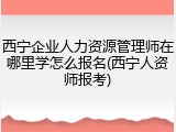 西宁企业人力资源管理师在哪里学怎么报名(西宁人资师报考)