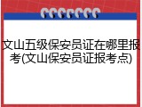 文山五级保安员证在哪里报考(文山保安员证报考点)