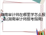 湖南审计师在哪里学怎么报名(湖南审计师报考指南)