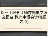 株洲中级会计师在哪里学怎么报名(株洲中级会计师报名点)