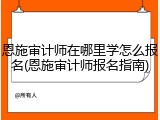恩施审计师在哪里学怎么报名(恩施审计师报名指南)